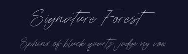 Signature Forest by Letterative Studio — Script Handwritten Font — thumbnail 2