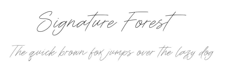 Signature Forest by Letterative Studio — Script Handwritten Font