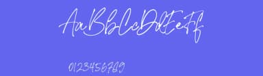 Signature United by AminMario — Script Handwritten Font — thumbnail 3