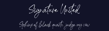 Signature United by AminMario — Script Handwritten Font — thumbnail 2