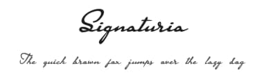 Signaturia by Grewfont Studio — Script Handwritten Font — thumbnail 1