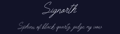Signorth by Eko Samp — Script Handwritten Font — thumbnail 2