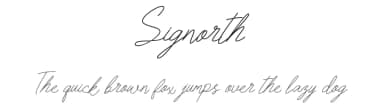 Signorth by Eko Samp — Script Handwritten Font — thumbnail 1