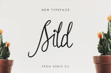 Sild Font by EdricStudio — Script Handwritten Font — thumbnail 1