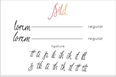 Sild Font by EdricStudio — Script Handwritten Font — thumbnail 6