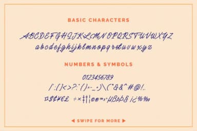 Silent Fighter Font by Mikrojihad Typefounder — Script Handwritten Font — thumbnail 2