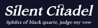 Silent Citadel by Fikryal studio — Serif Font — thumbnail 2