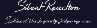 Silent Reaction by JSH creates — Script Handwritten Font — thumbnail 2