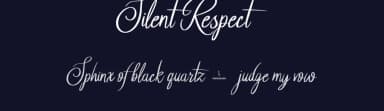 Silent Respect by JSH creates — Script Handwritten Font — thumbnail 2