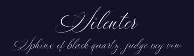 Silenter by Blue Studio09 — Script Handwritten Font — thumbnail 2