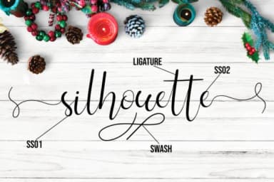 Silhouette Font by Fallengraphic — Script Handwritten Font — thumbnail 2