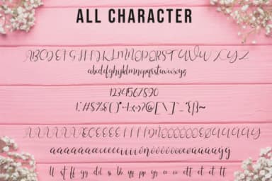 Silhouette Font by Fallengraphic — Script Handwritten Font — thumbnail 6