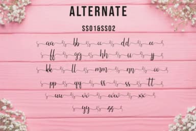 Silhouette Font by Fallengraphic — Script Handwritten Font — thumbnail 7