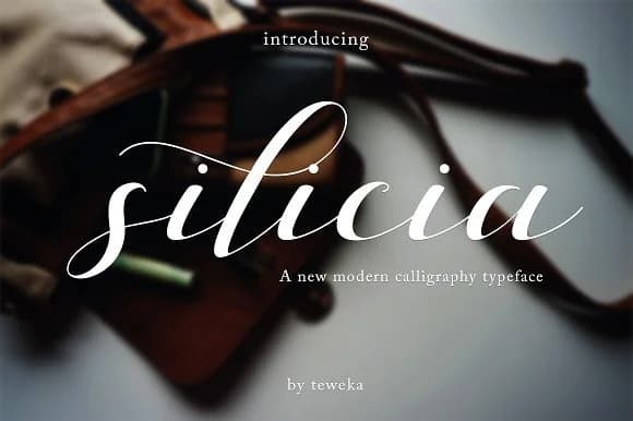 Silicia Font by Teweka — Script Handwritten Font
