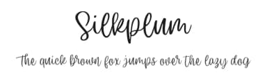 Silkplum by Damarletter — Script Handwritten Font — thumbnail 1