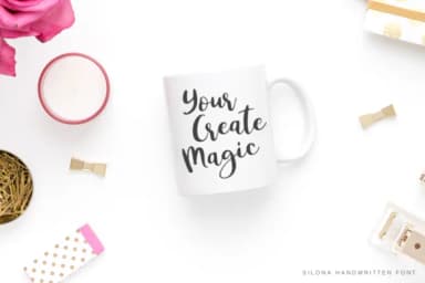 Silona Font by Pasha Larin — Script Handwritten Font — thumbnail 3