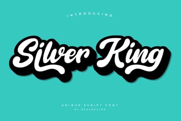Silver King Font by Grezline Studio — Script Handwritten Font — preview 1