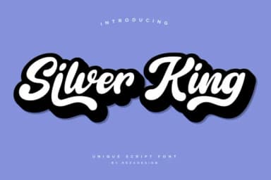 Silver King Font by Grezline Studio — Script Handwritten Font — thumbnail 8