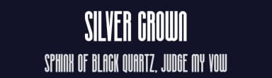 Silver Crown by Linecreative — Sans Serif Font — thumbnail 2