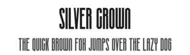 Silver Crown by Linecreative — Sans Serif Font — thumbnail 1