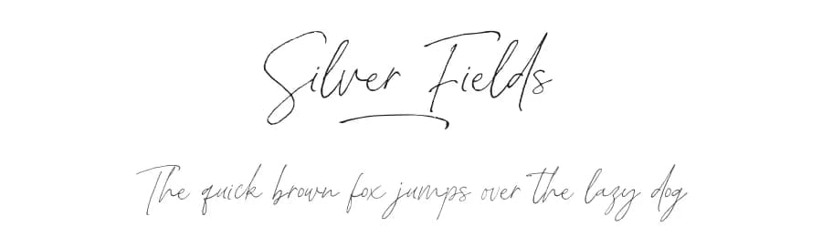 Silver Fields by ReyreyBlue — Script Handwritten Font — preview 1