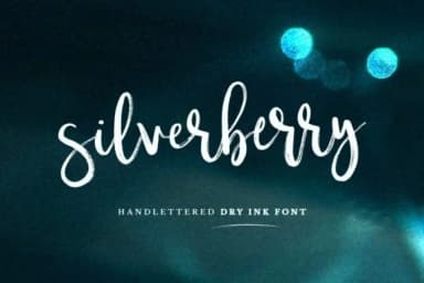 Silverberry Font by wornoutmedia — Script Handwritten Font — thumbnail 1