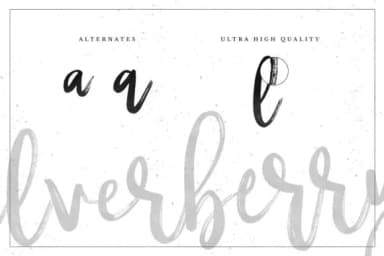 Silverberry Font by wornoutmedia — Script Handwritten Font — thumbnail 2