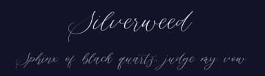 Silverweed by Balpirick Studio — Script Handwritten Font — thumbnail 2