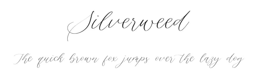 Silverweed by Balpirick Studio — Script Handwritten Font