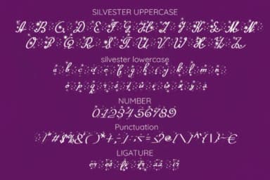 Silvester Font by Syukursetiyadi — Script Handwritten Font — thumbnail 7