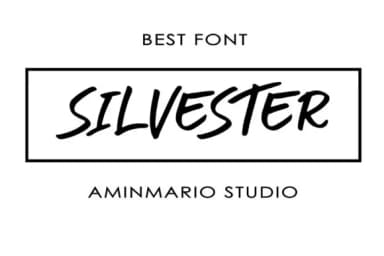 Silvester Font by aminmario by aminmario — Script Handwritten Font — thumbnail 8