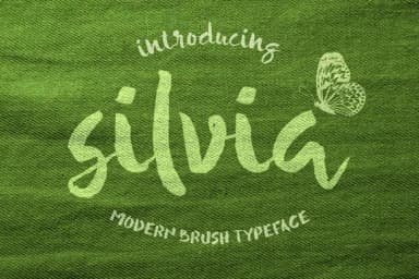 Silvia Font by Incools Design Studio — Script Handwritten Font — thumbnail 1