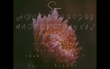 Simone Font by edinsartstudio — Script Handwritten Font — thumbnail 4