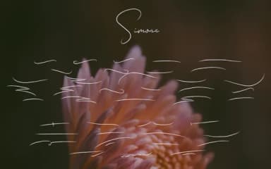 Simone Font by edinsartstudio — Script Handwritten Font — thumbnail 5
