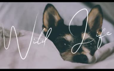 Simone Font by edinsartstudio — Script Handwritten Font — thumbnail 9