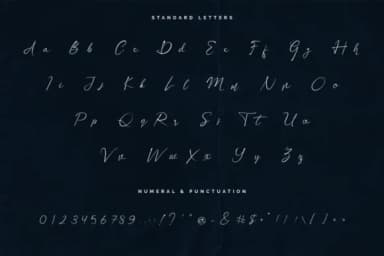 Sinatra Font by Earlyfair Studio — Script Handwritten Font — thumbnail 9