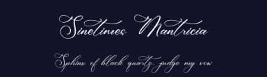 Sinetimes Mantricia by Storytype Studio — Script Handwritten Font — thumbnail 2