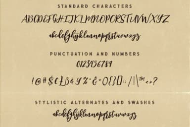 Singapore Script Font by JumboDesign — Script Handwritten Font — thumbnail 6