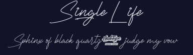 Single Life by Noah Type — Script Handwritten Font — thumbnail 2