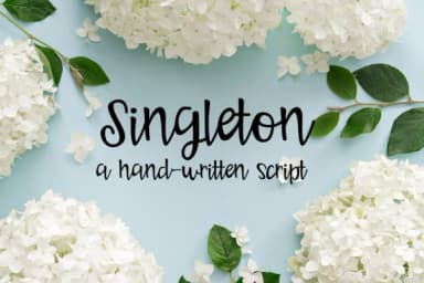Singleton Font by Illustration Ink — Script Handwritten Font — thumbnail 1