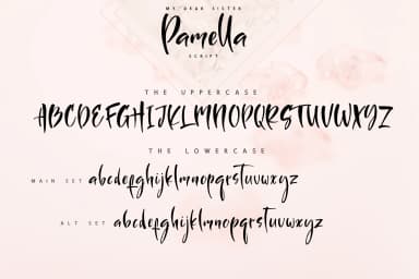 Sister Pamella Font by Iradvilyuk — Script Handwritten Font — thumbnail 2