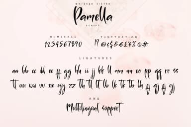 Sister Pamella Font by Iradvilyuk — Script Handwritten Font — thumbnail 3