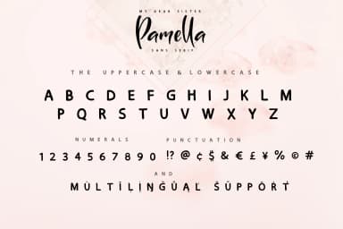 Sister Pamella Font by Iradvilyuk — Script Handwritten Font — thumbnail 4