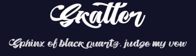 Skatter by Creativework69 Studio — Script Handwritten Font — thumbnail 2