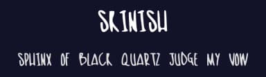 Skinish by Guy Rickard — Script Handwritten Font — thumbnail 2