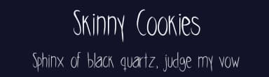 Skinny Cookies by Nina — Script Handwritten Font — thumbnail 2