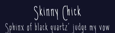 Skinny Chick by Blue Sky — Script Handwritten Font — thumbnail 2