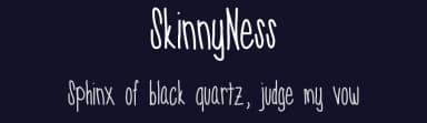 SkinnyNess by Vanessa Bays — Script Handwritten Font — thumbnail 2