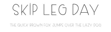 Skip Leg Day by Dilem Akiner — Script Handwritten Font — thumbnail 1