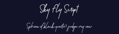 Sky Fly Script by Sarif Letter — Script Handwritten Font — thumbnail 2